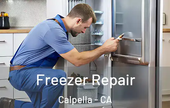  Freezer Repair Calpella - CA