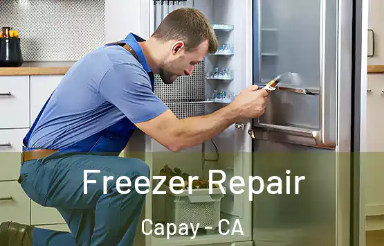  Freezer Repair Capay - CA