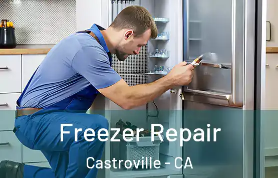  Freezer Repair Castroville - CA
