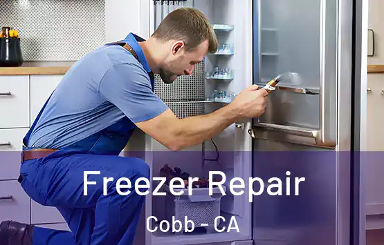  Freezer Repair Cobb - CA