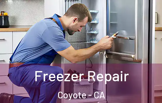  Freezer Repair Coyote - CA