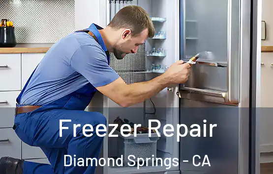  Freezer Repair Diamond Springs - CA