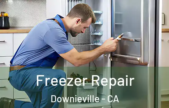  Freezer Repair Downieville - CA