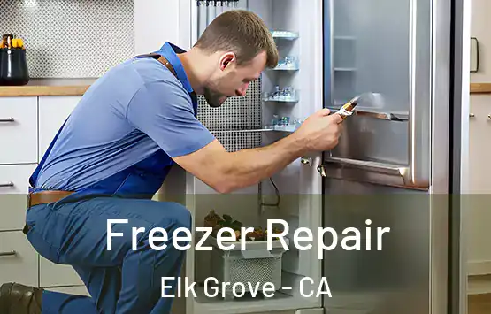  Freezer Repair Elk Grove - CA