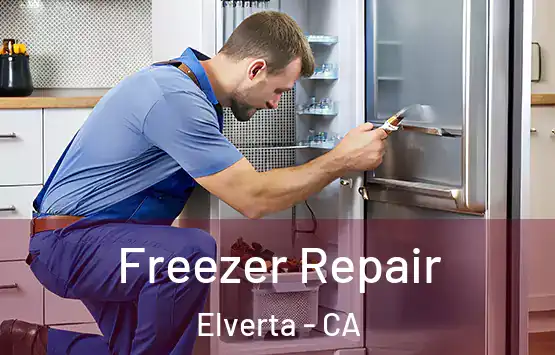 Freezer Repair Elverta - CA