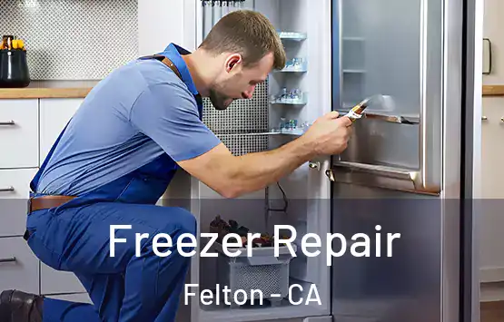  Freezer Repair Felton - CA