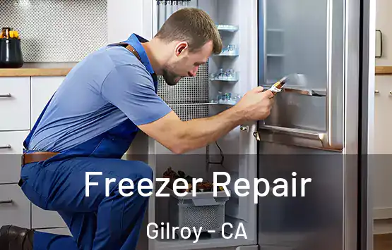  Freezer Repair Gilroy - CA