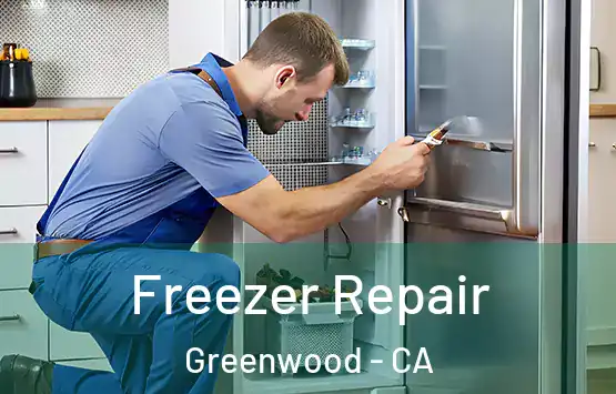  Freezer Repair Greenwood - CA