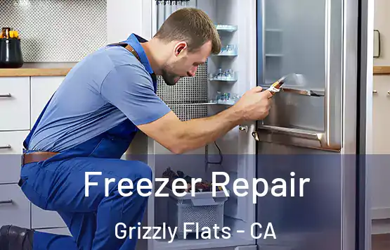  Freezer Repair Grizzly Flats - CA