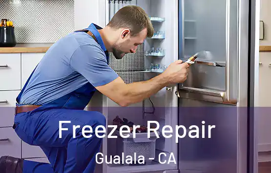  Freezer Repair Gualala - CA