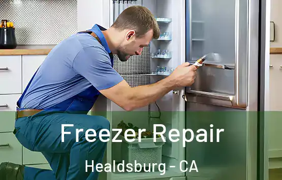  Freezer Repair Healdsburg - CA