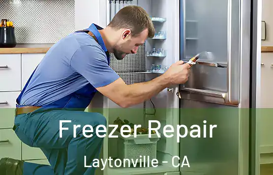  Freezer Repair Laytonville - CA