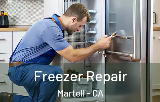  Freezer Repair Martell - CA