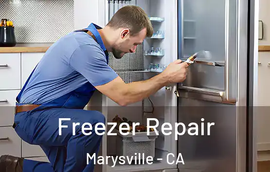  Freezer Repair Marysville - CA