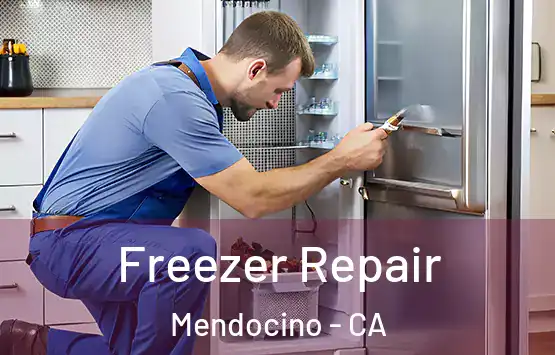  Freezer Repair Mendocino - CA