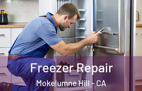  Freezer Repair Mokelumne Hill - CA