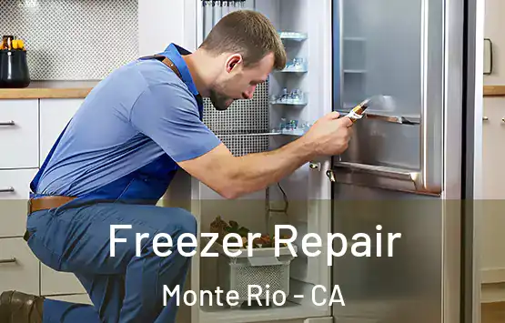  Freezer Repair Monte Rio - CA