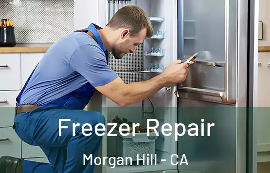  Freezer Repair Morgan Hill - CA