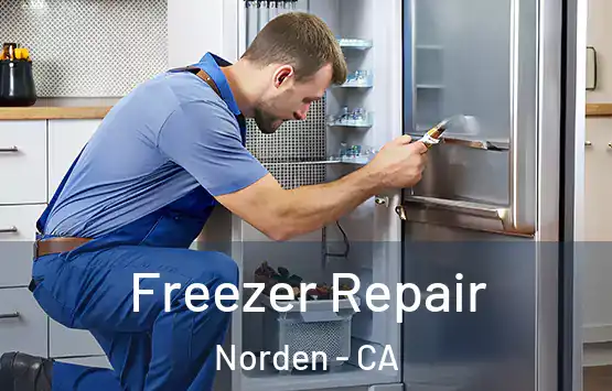  Freezer Repair Norden - CA