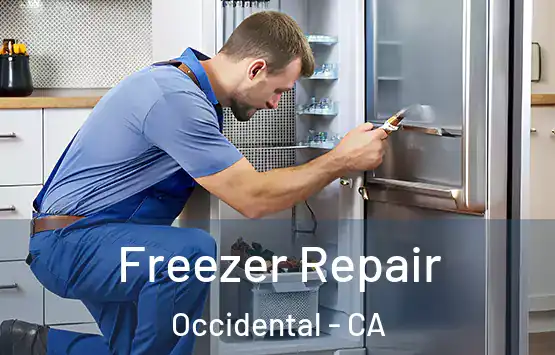  Freezer Repair Occidental - CA