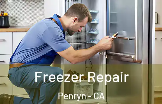  Freezer Repair Penryn - CA