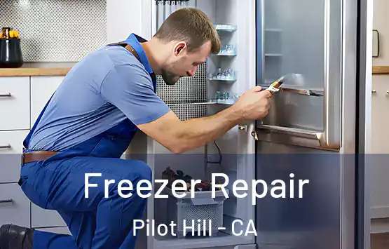  Freezer Repair Pilot Hill - CA