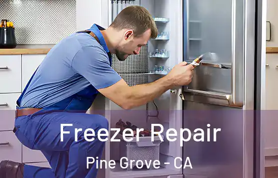  Freezer Repair Pine Grove - CA
