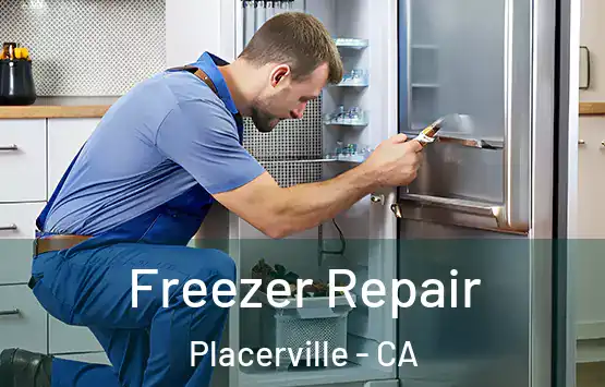  Freezer Repair Placerville - CA