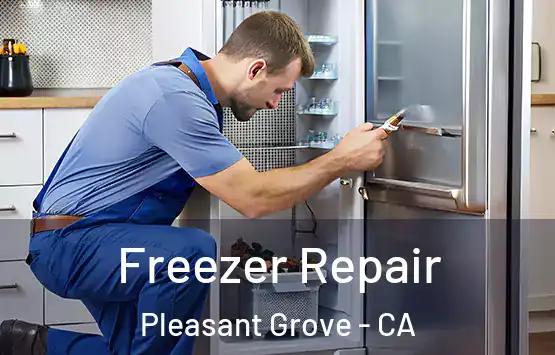  Freezer Repair Pleasant Grove - CA