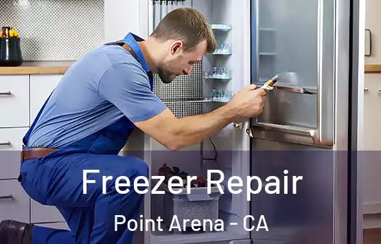  Freezer Repair Point Arena - CA