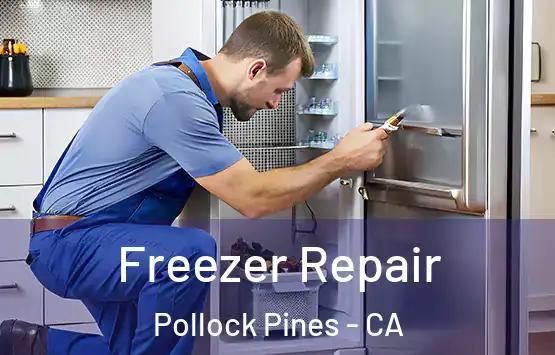  Freezer Repair Pollock Pines - CA