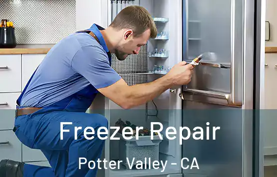  Freezer Repair Potter Valley - CA