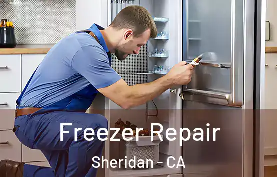  Freezer Repair Sheridan - CA