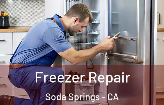  Freezer Repair Soda Springs - CA