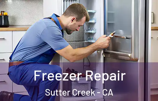  Freezer Repair Sutter Creek - CA