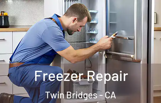  Freezer Repair Twin Bridges - CA