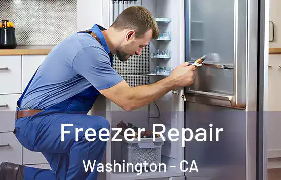  Freezer Repair Washington - CA