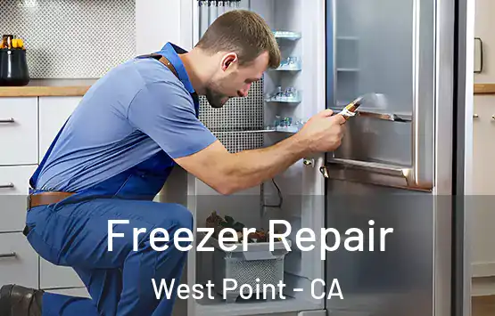  Freezer Repair West Point - CA