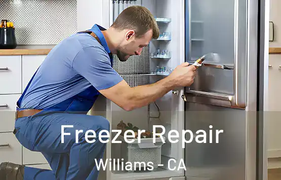  Freezer Repair Williams - CA