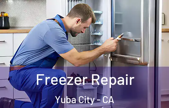  Freezer Repair Yuba City - CA
