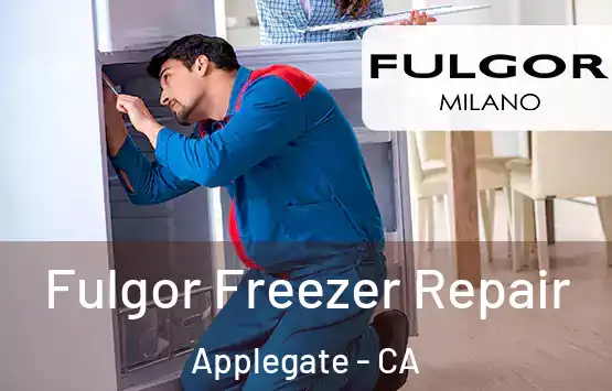  Fulgor Freezer Repair Applegate - CA