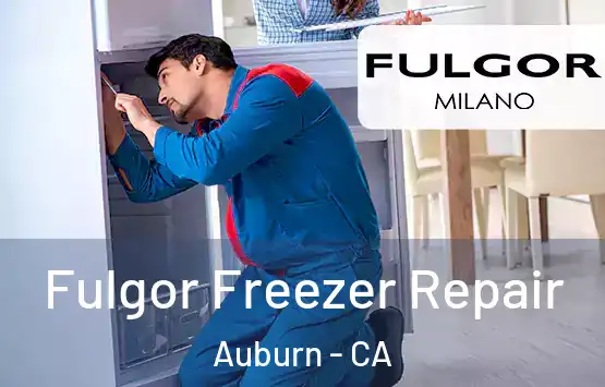  Fulgor Freezer Repair Auburn - CA