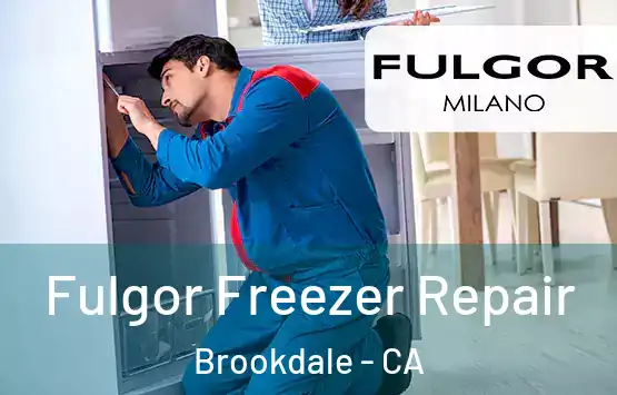  Fulgor Freezer Repair Brookdale - CA