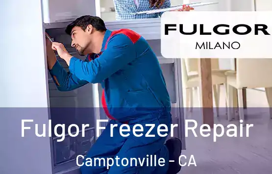  Fulgor Freezer Repair Camptonville - CA