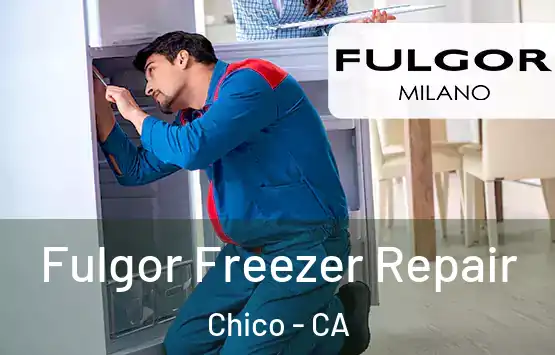  Fulgor Freezer Repair Chico - CA