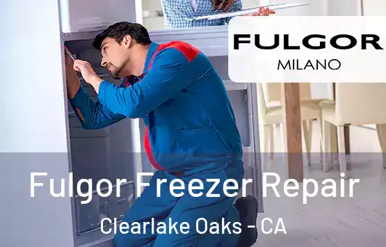  Fulgor Freezer Repair Clearlake Oaks - CA