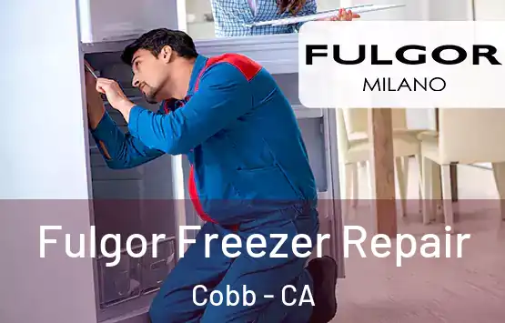  Fulgor Freezer Repair Cobb - CA