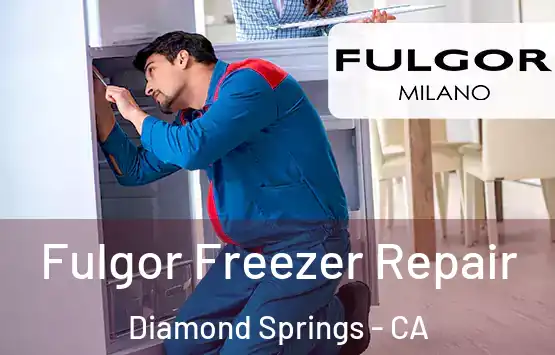  Fulgor Freezer Repair Diamond Springs - CA