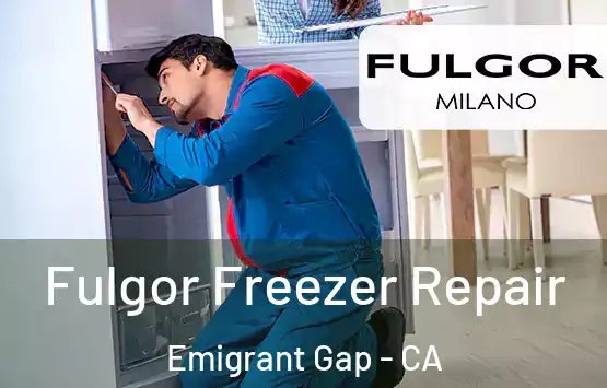  Fulgor Freezer Repair Emigrant Gap - CA