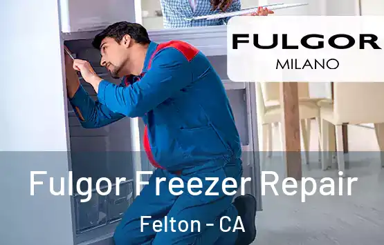  Fulgor Freezer Repair Felton - CA